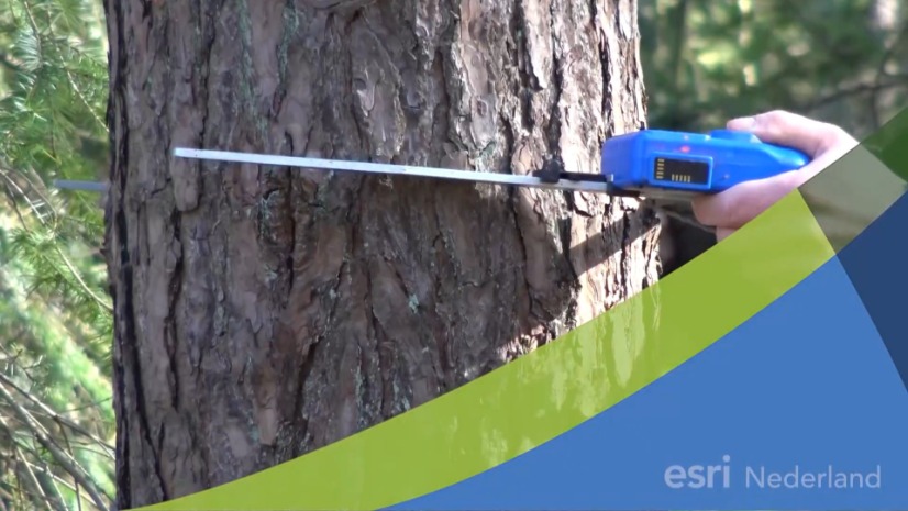 Borgman Beheer Advies