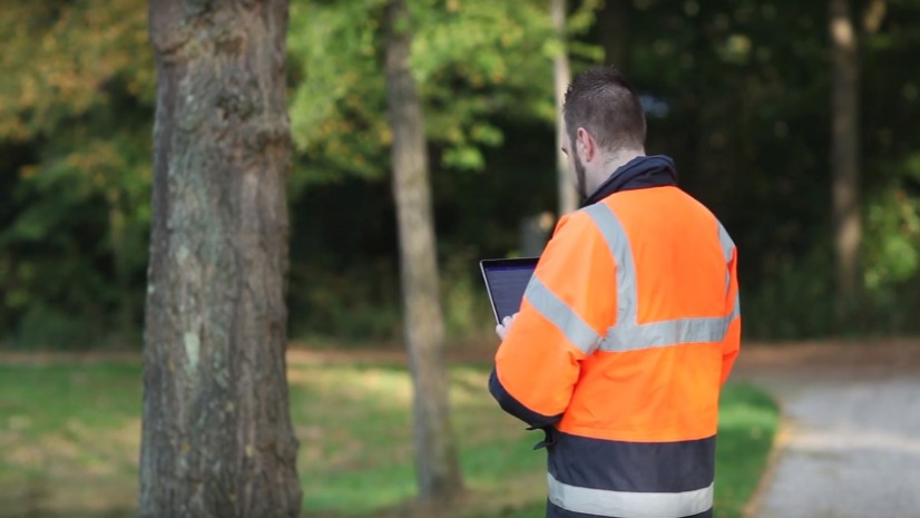 Efficiënt monitoren van de eikenprocessierups