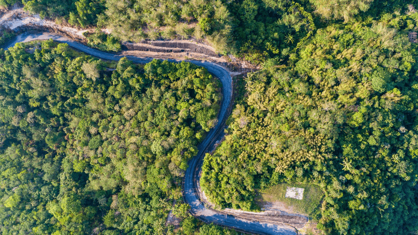 How Drone Data and GIS Are Revolutionising Forest Management in India