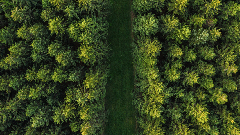 Rudeniniai seminarai „ArcGIS naujienos ir naudingi patarimai”