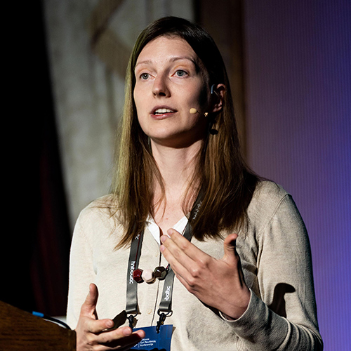 Živilė Šimkutė, Kauno planas