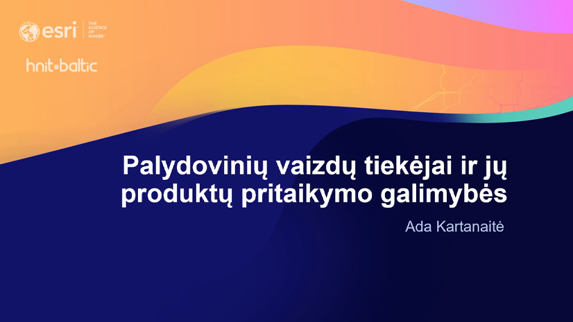 Palydovinių vaizdų tiekėjai ir jų produktų pritaikymo galimybės