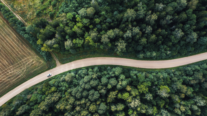 Efektyvi Anykščių kelių pažeidimų prevencija